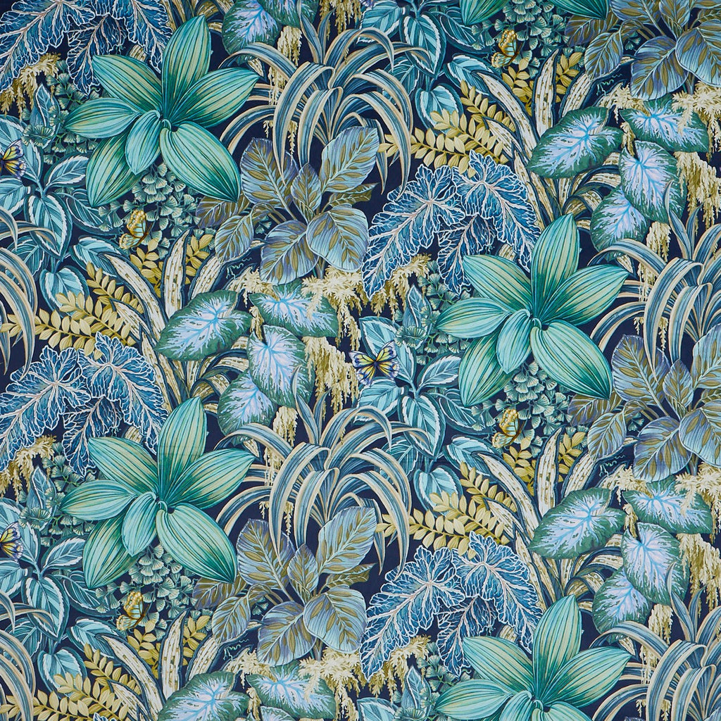 Eden Aruba (pts104)