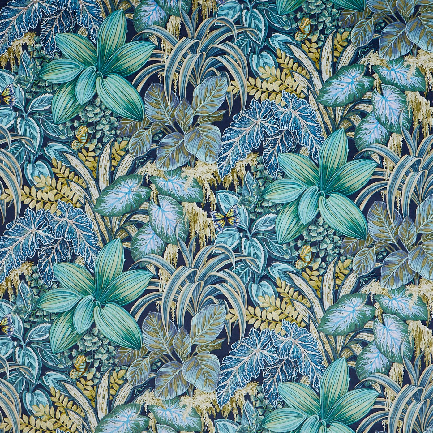 Eden Aruba (pts104)