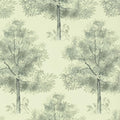 Arboretum - Slate (Rosa Chinensis)