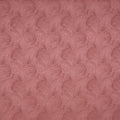 Bailey Raspberry