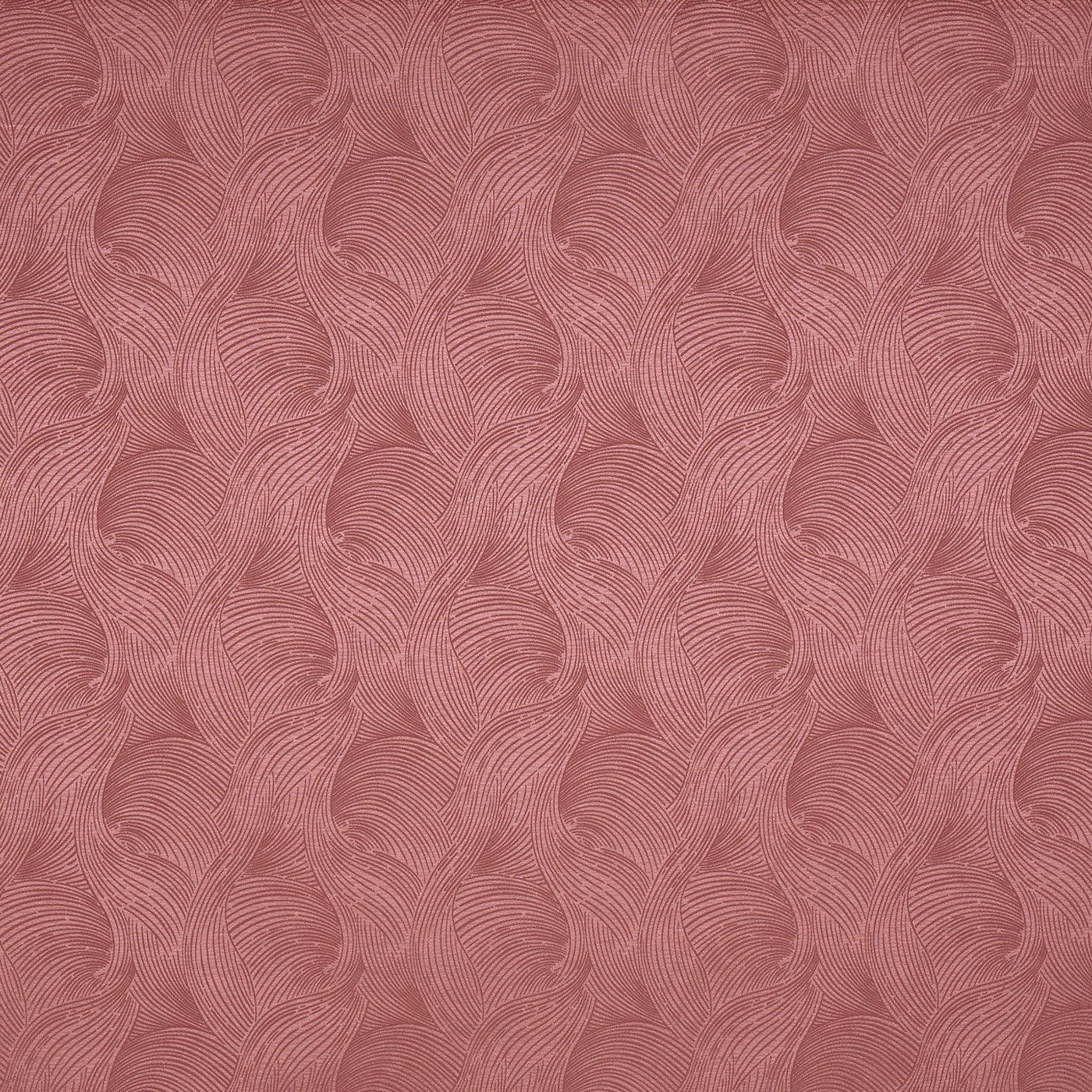 Bailey Raspberry