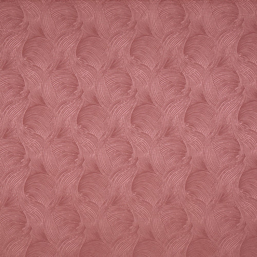 Bailey Raspberry