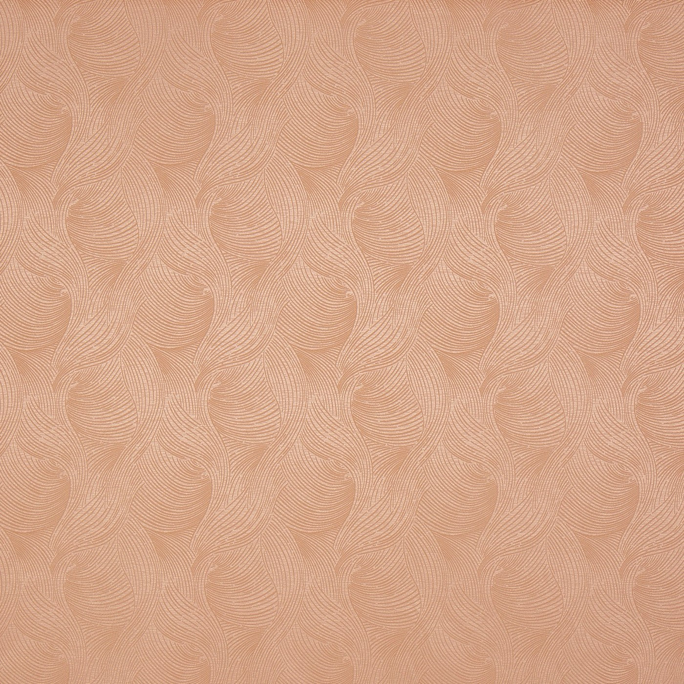 Bailey Shell