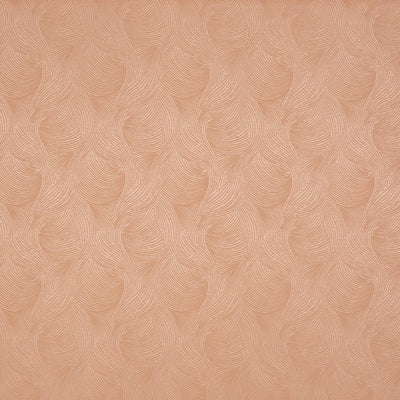 Bailey Shell