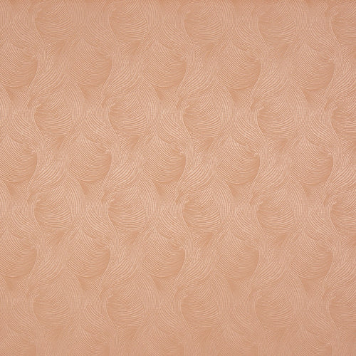 Bailey Shell