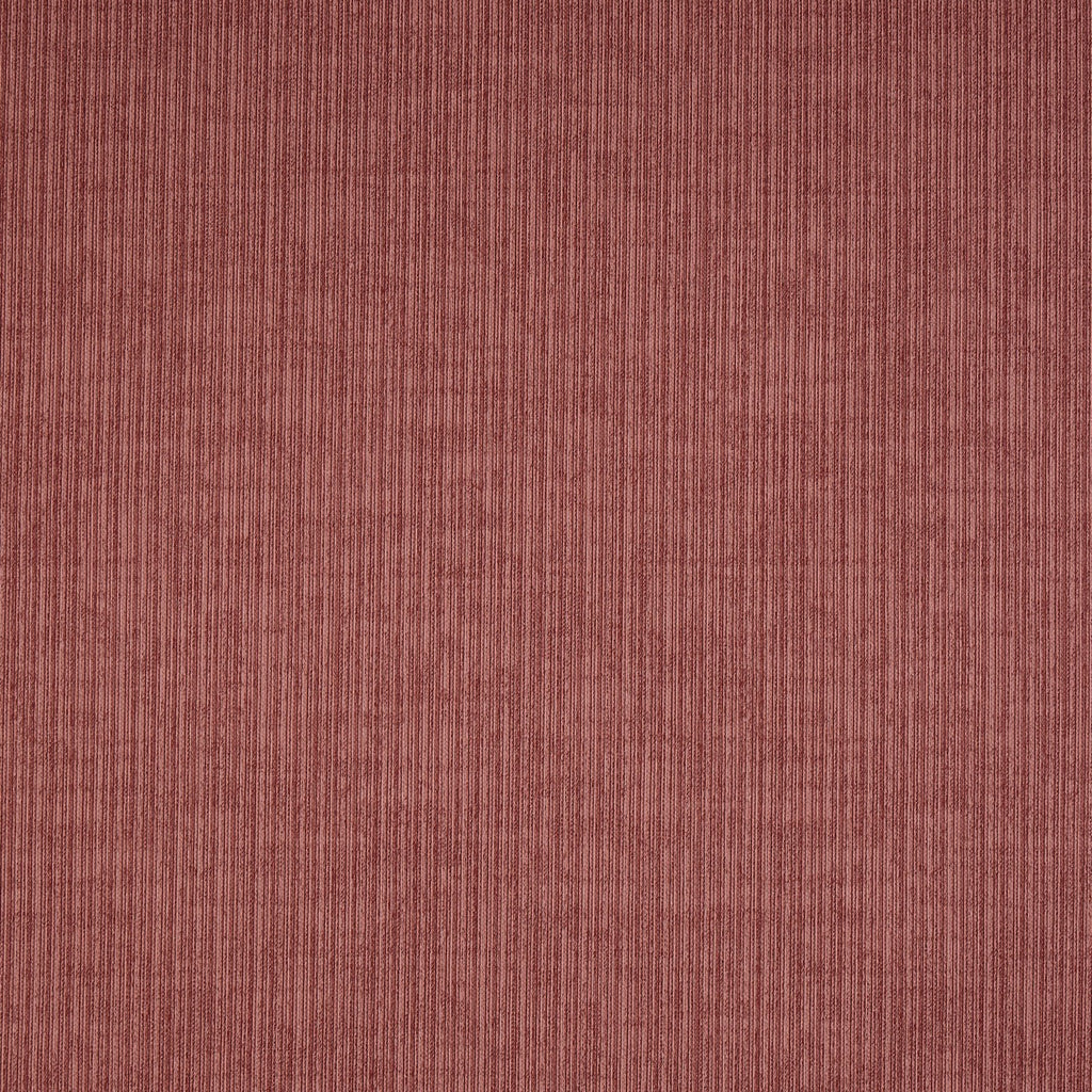 Spencer Raspberry