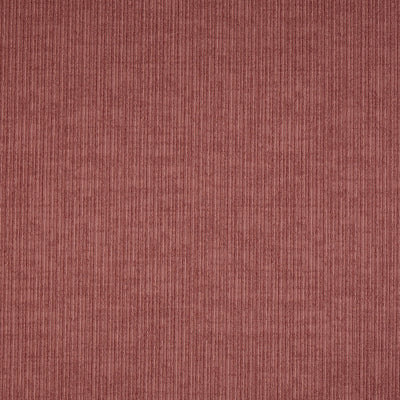 Spencer Raspberry