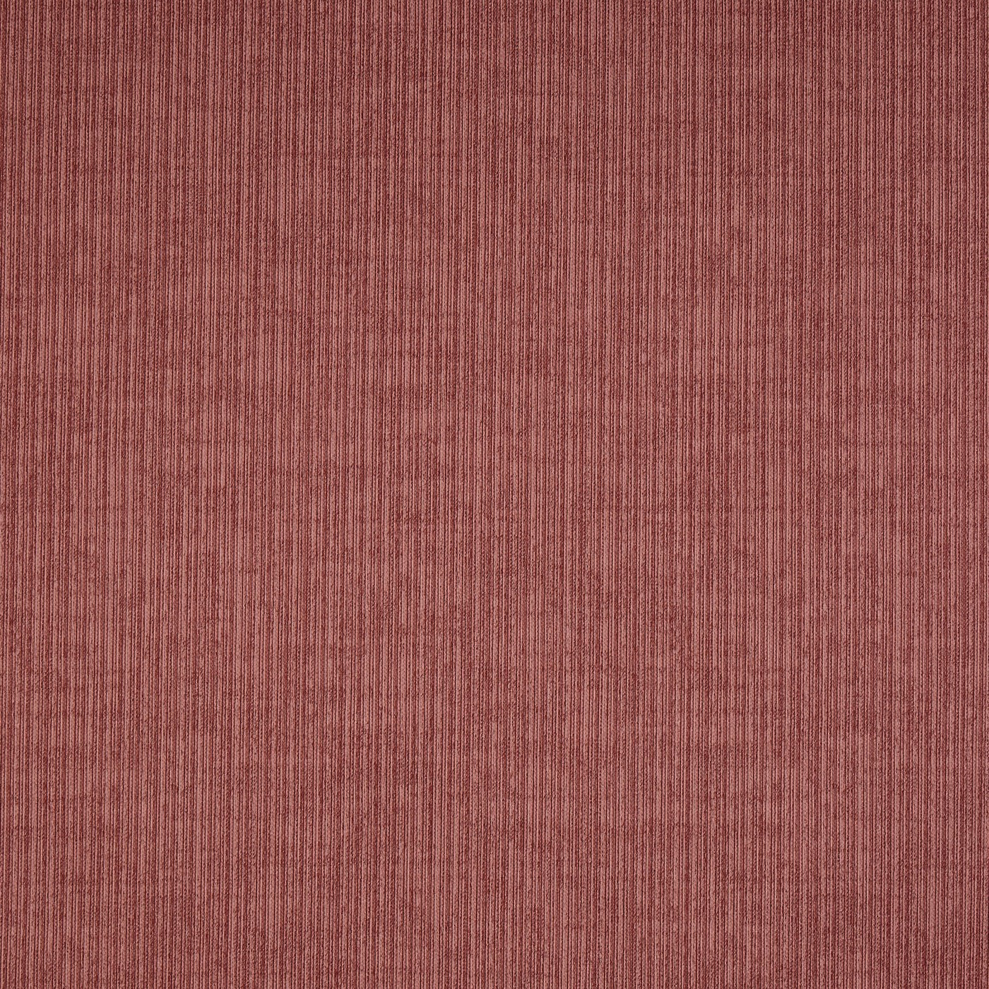 Spencer Raspberry