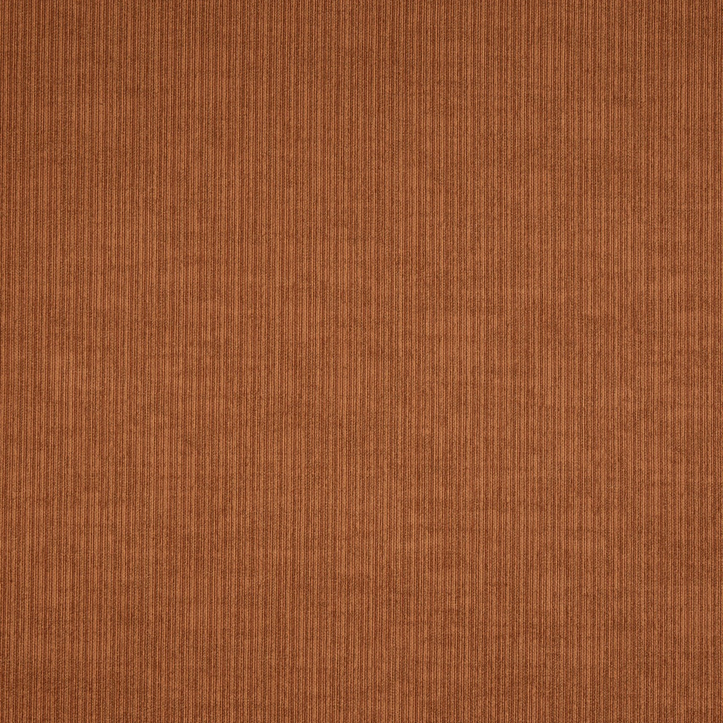 Spencer Paprika