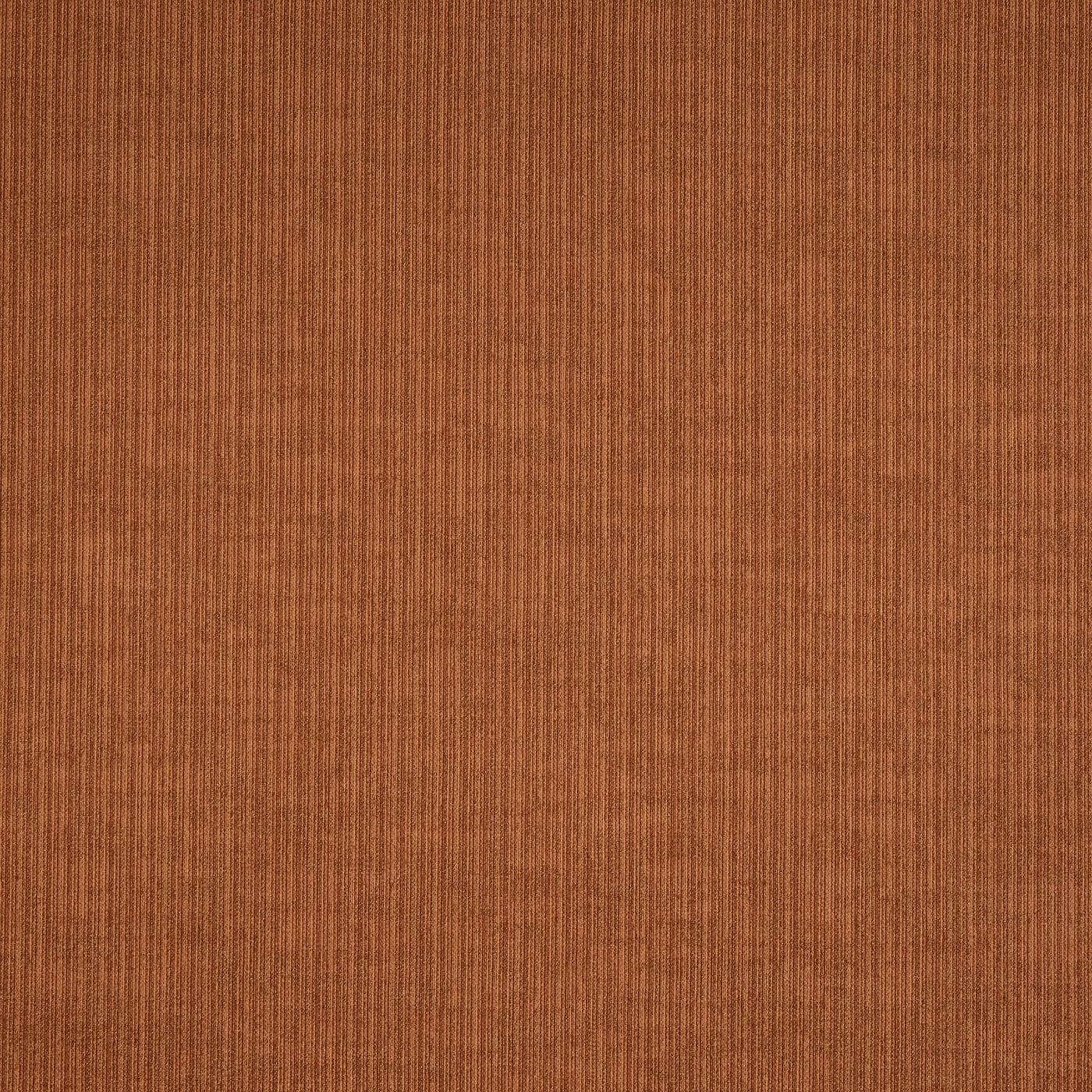 Spencer Paprika
