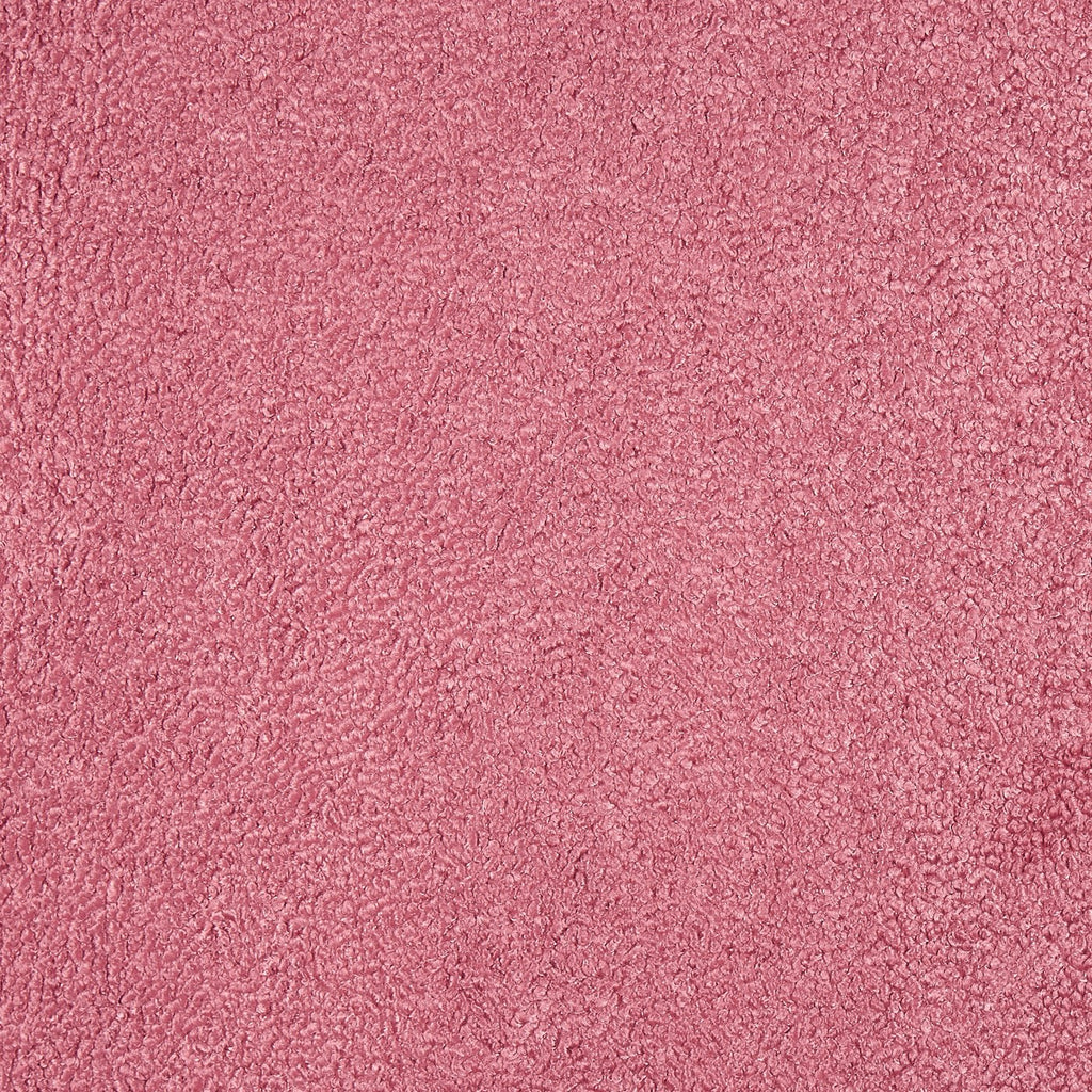Fergus Raspberry