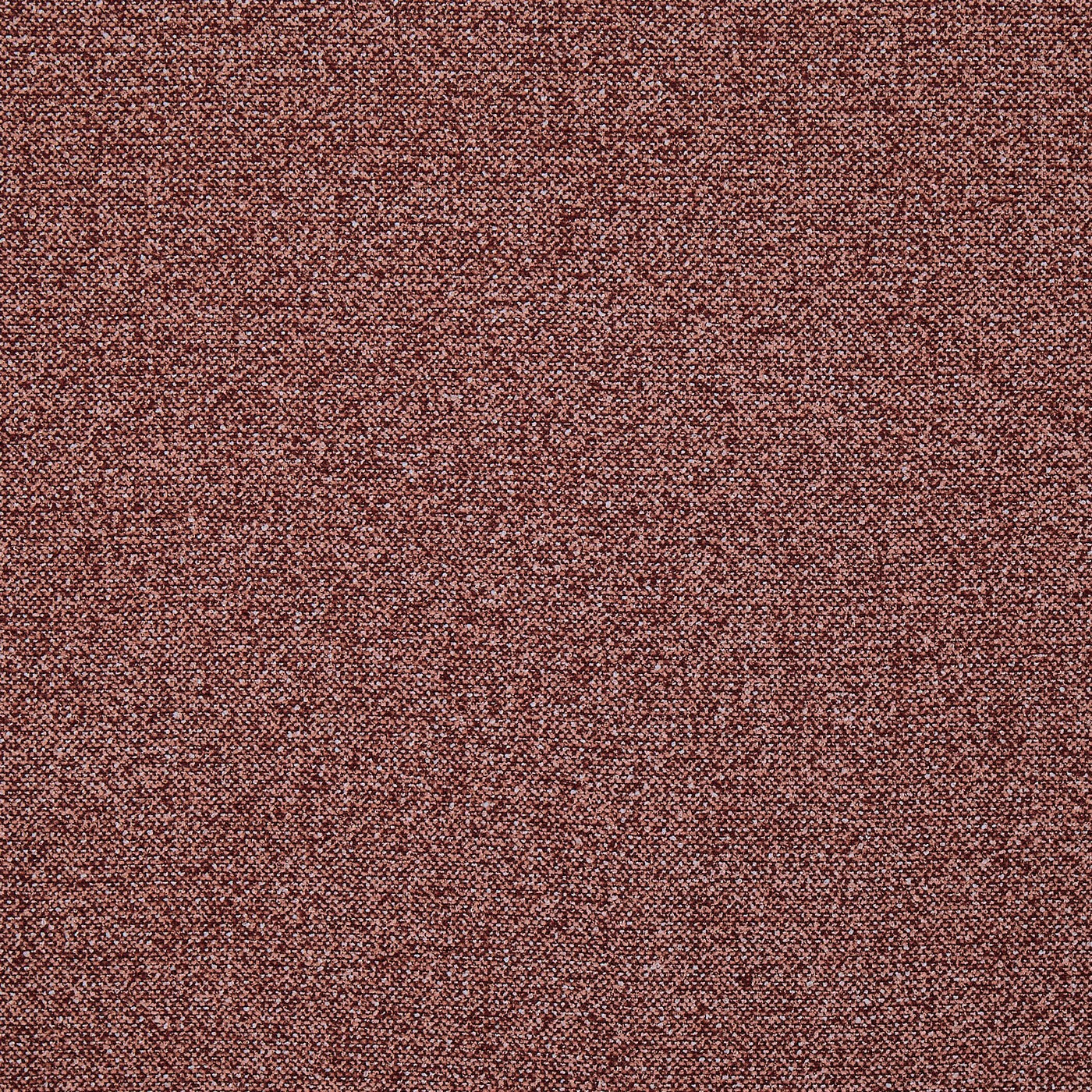 Robertson Raspberry