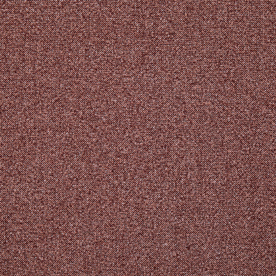 Robertson Raspberry