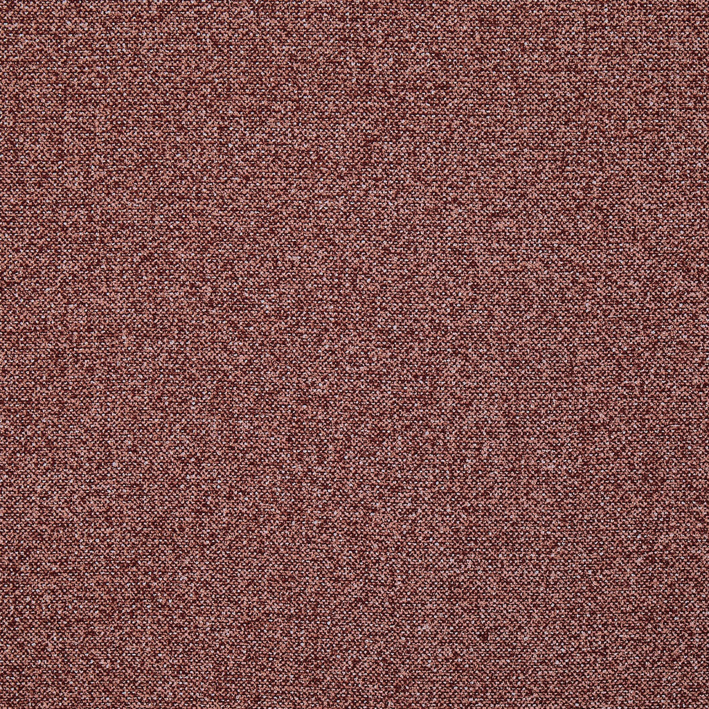 Robertson Raspberry