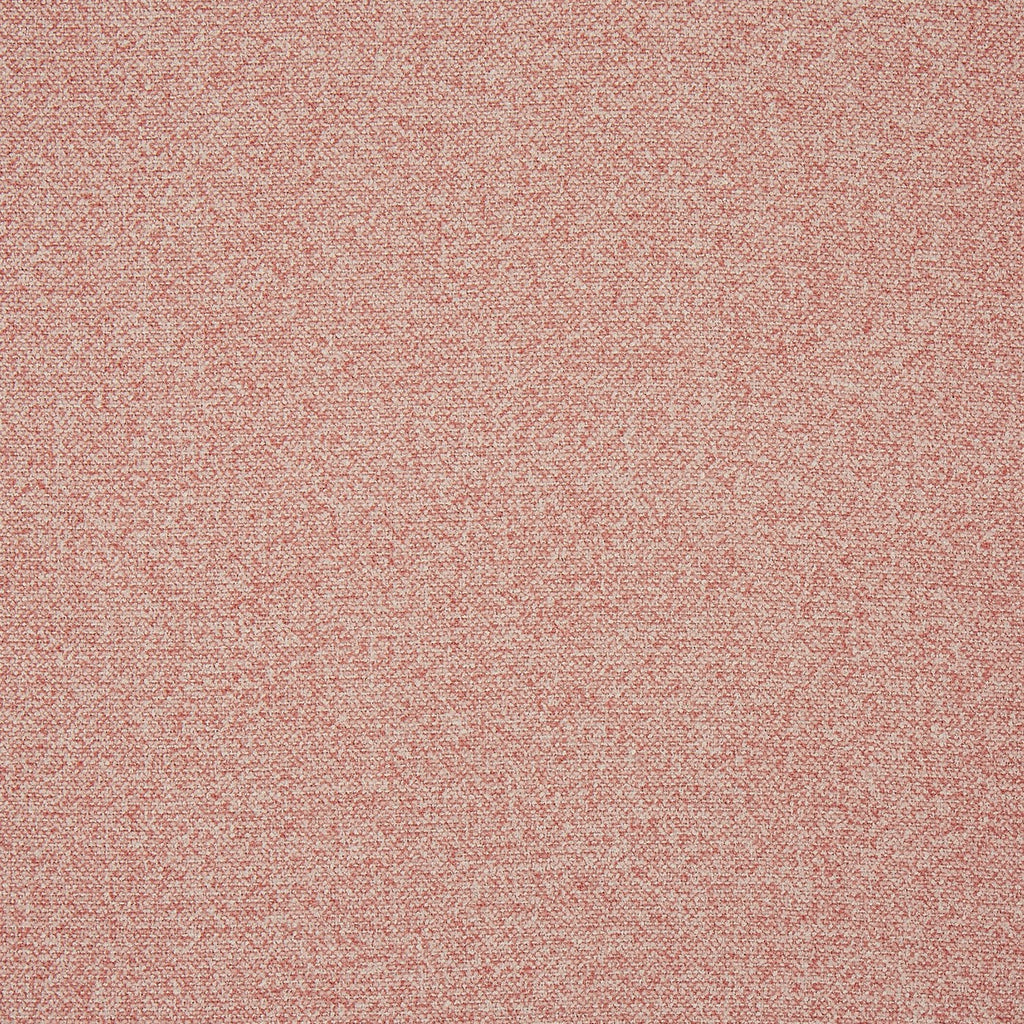 Robertson Petal