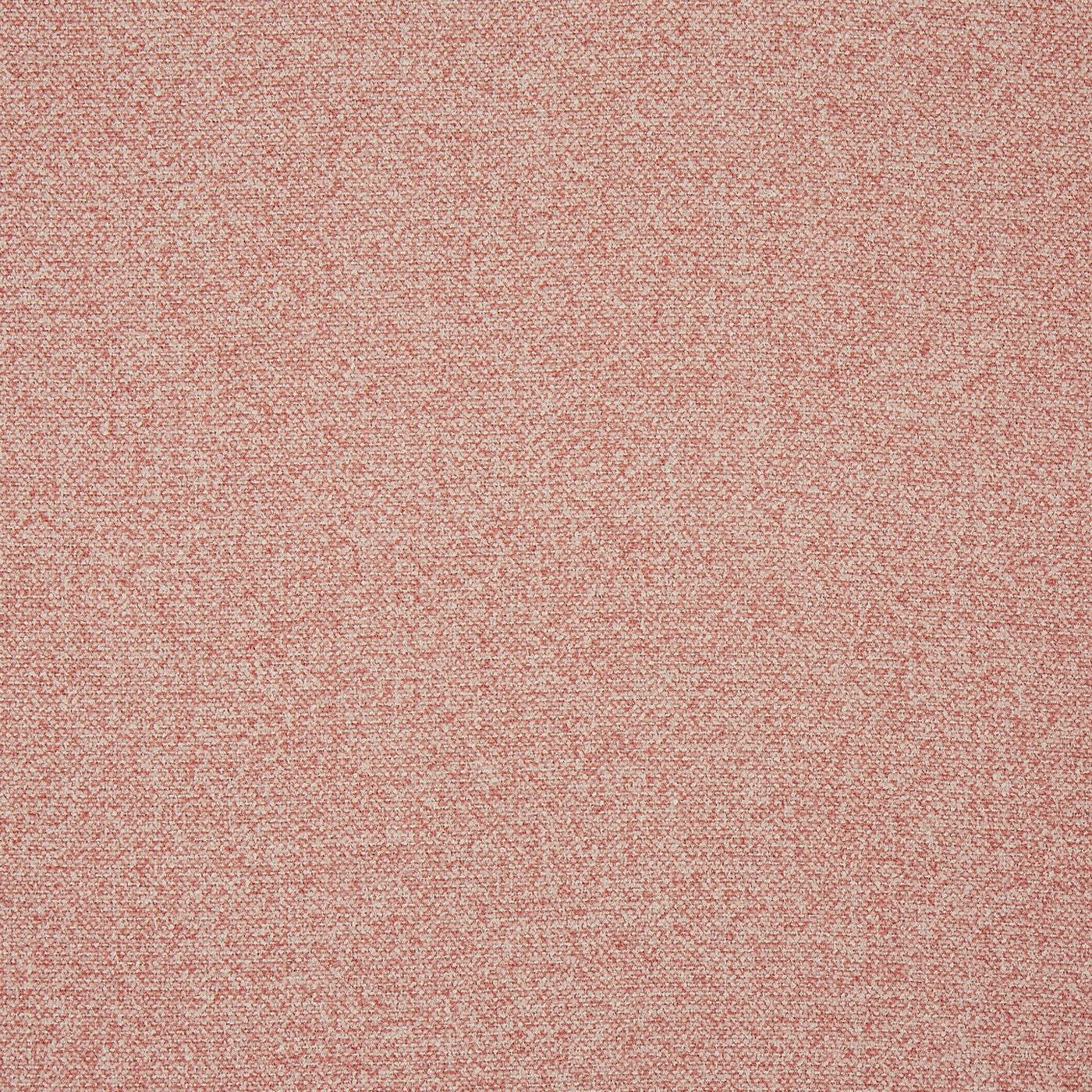Robertson Petal