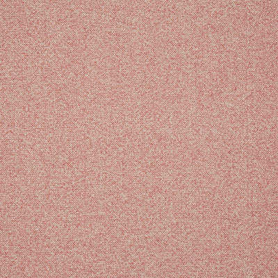 Robertson Petal