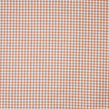 Arlington Apricot (pts116)