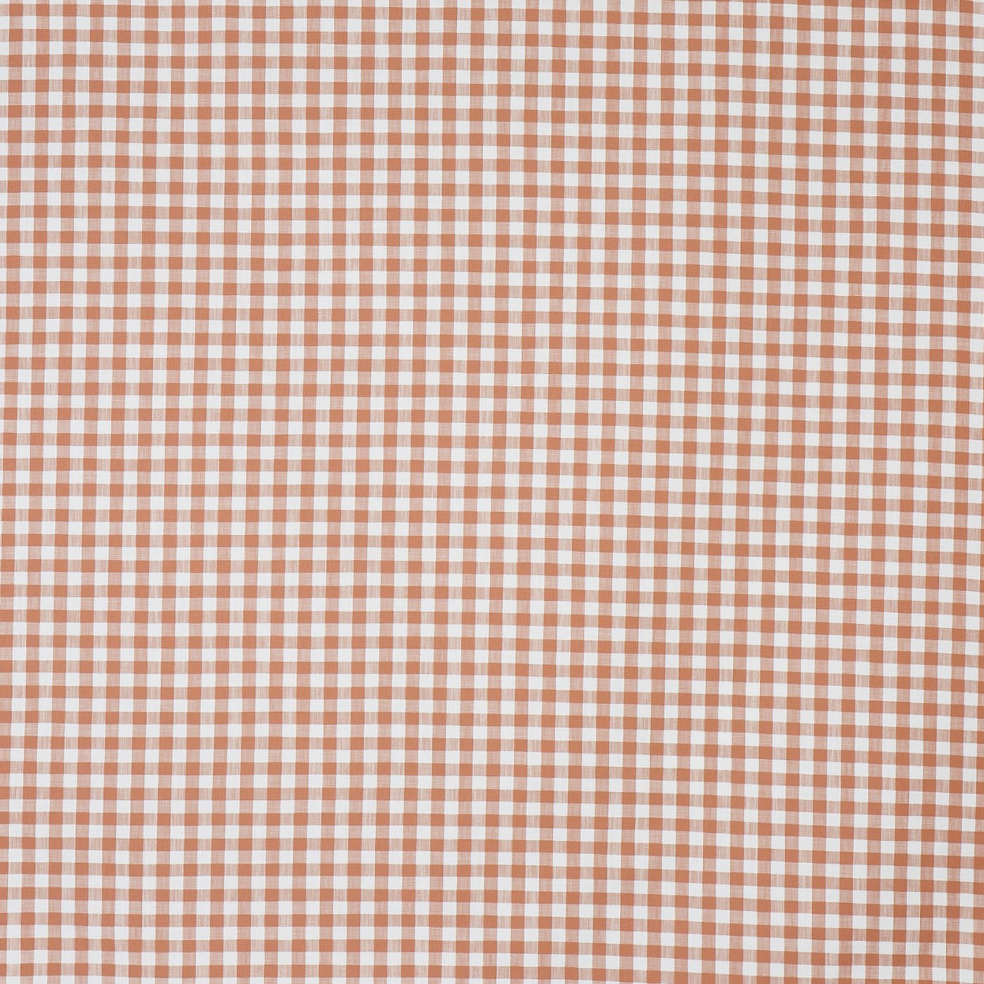 Arlington Apricot (pts116)