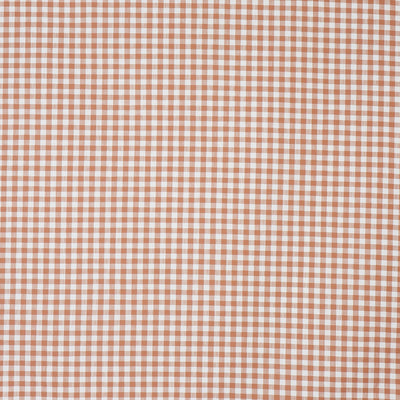 Arlington Apricot (pts116)