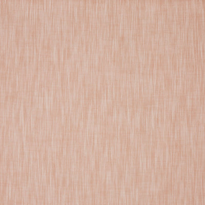 Burford Apricot