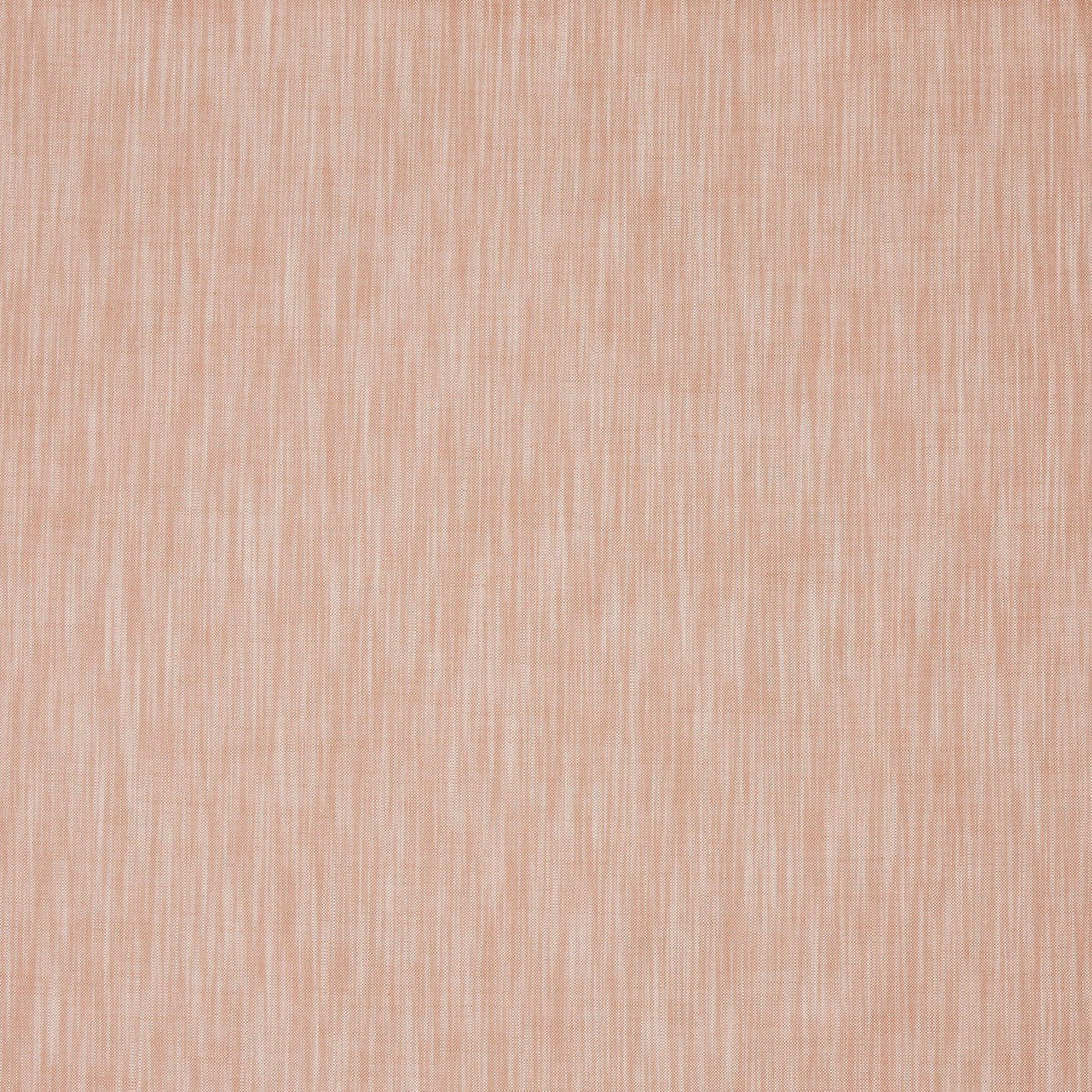 Burford Apricot
