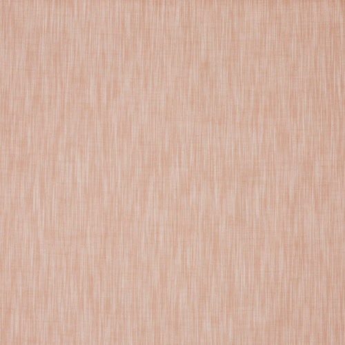 Burford Apricot