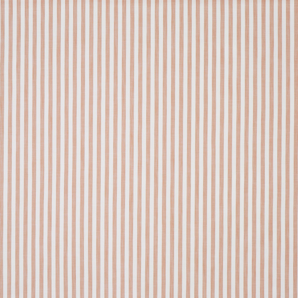 Witney Apricot (pts116)