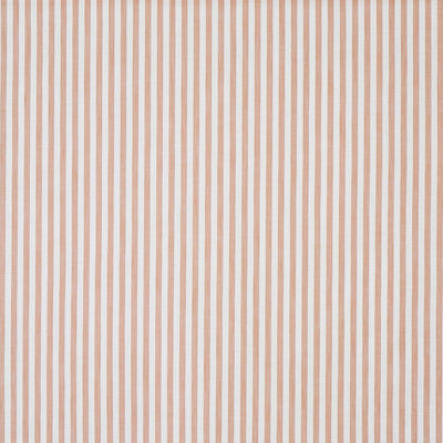 Witney Apricot (pts116)