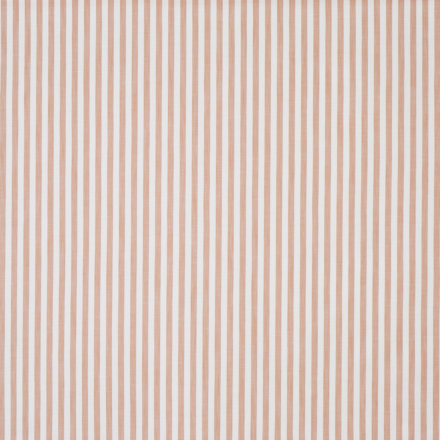 Witney Apricot (pts116)