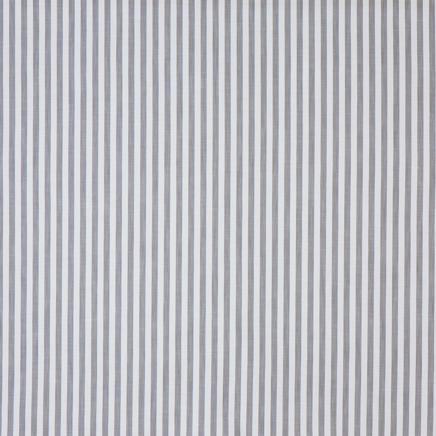 Witney Zinc (pts116)