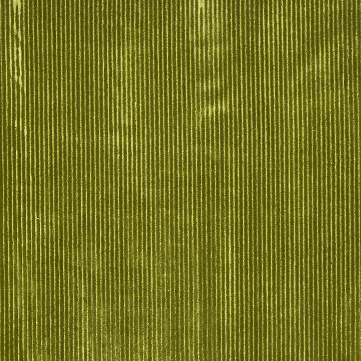 Helix Wasabi