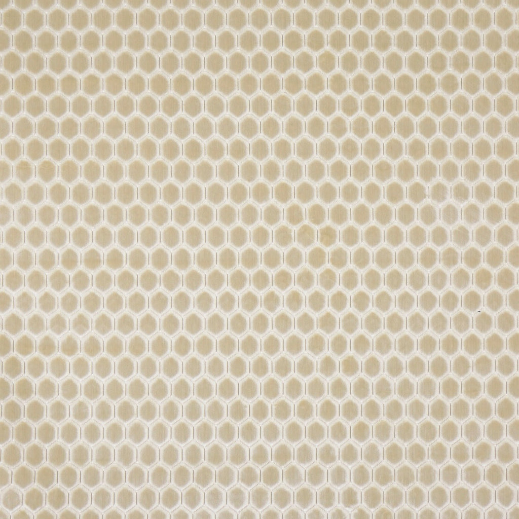 Prism Limestone