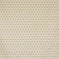 Prism Limestone