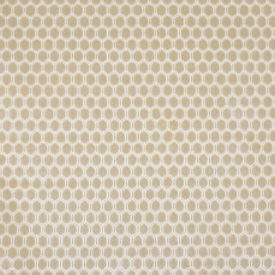 Prism Limestone