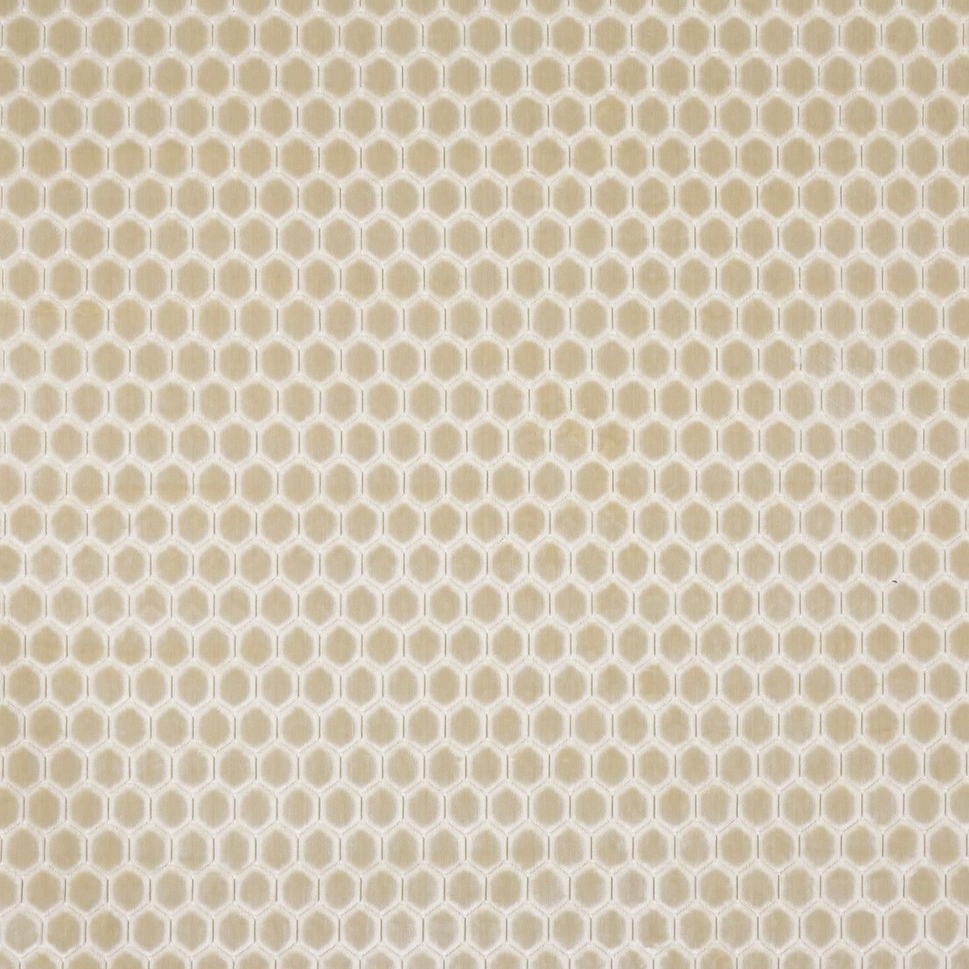 Prism Limestone
