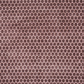 Prism Heather