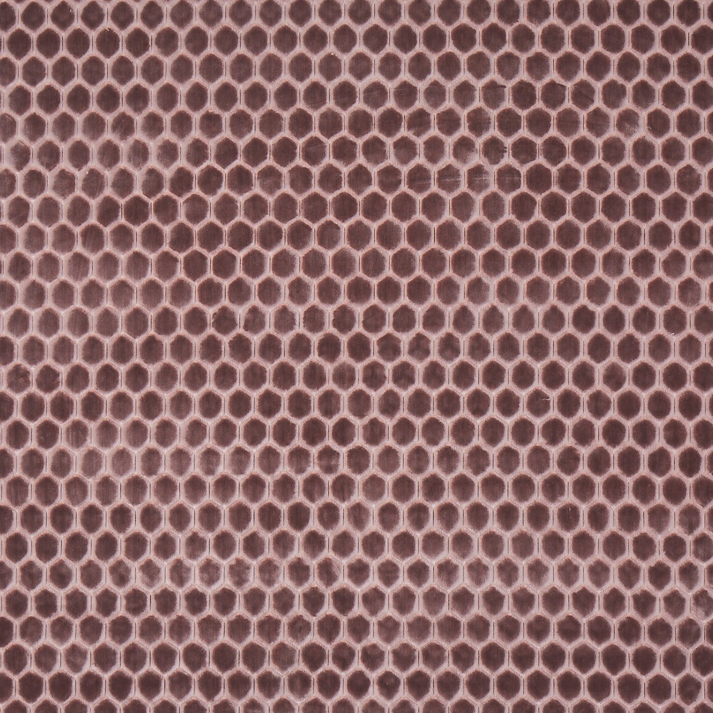Prism Heather