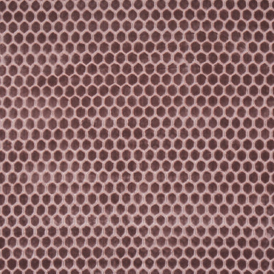 Prism Heather