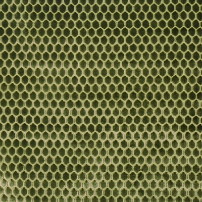 Prism Cactus