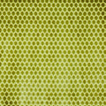 Prism Wasabi