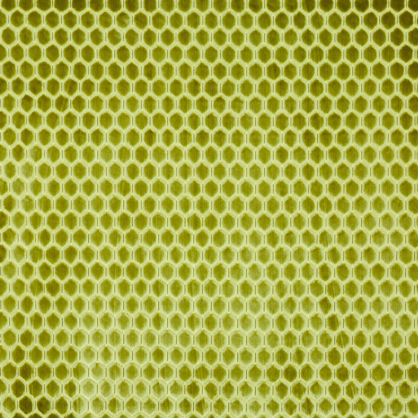 Prism Wasabi