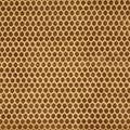 Prism Honey