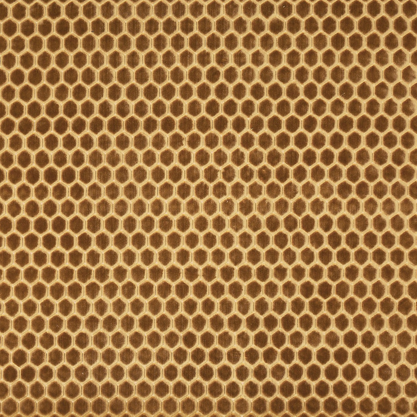 Prism Honey