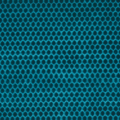 Prism Petrol