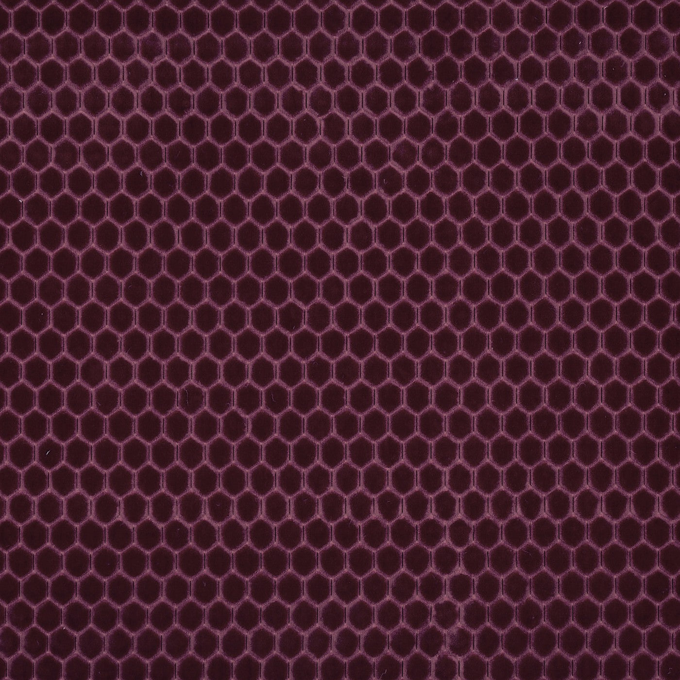 Prism Plum