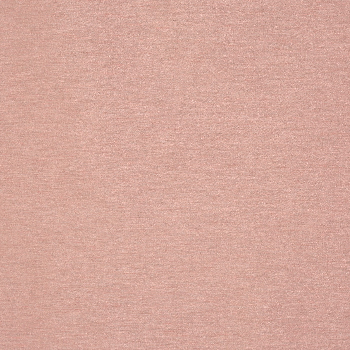 Opulence Rose