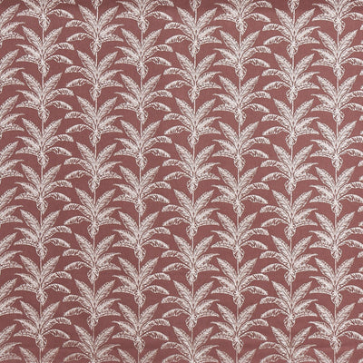 Allegro Juniper