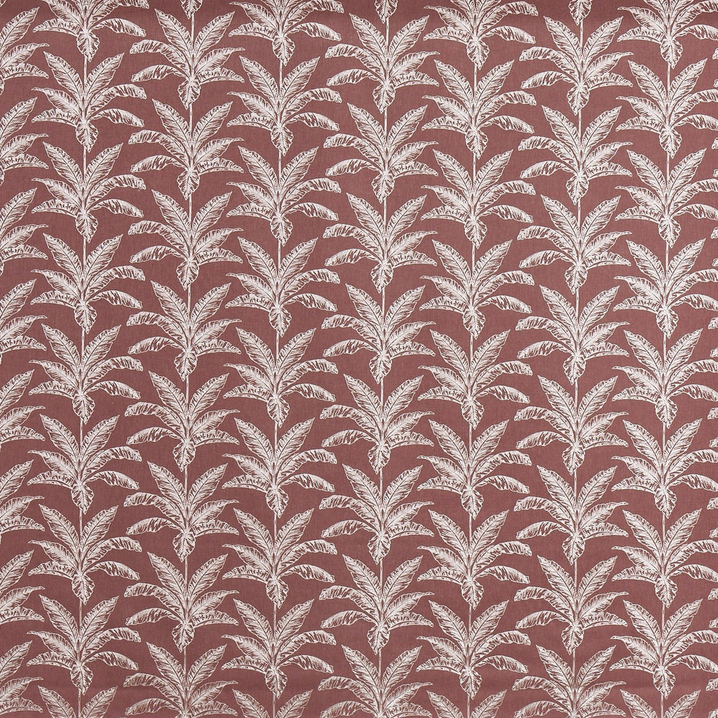 Allegro Juniper