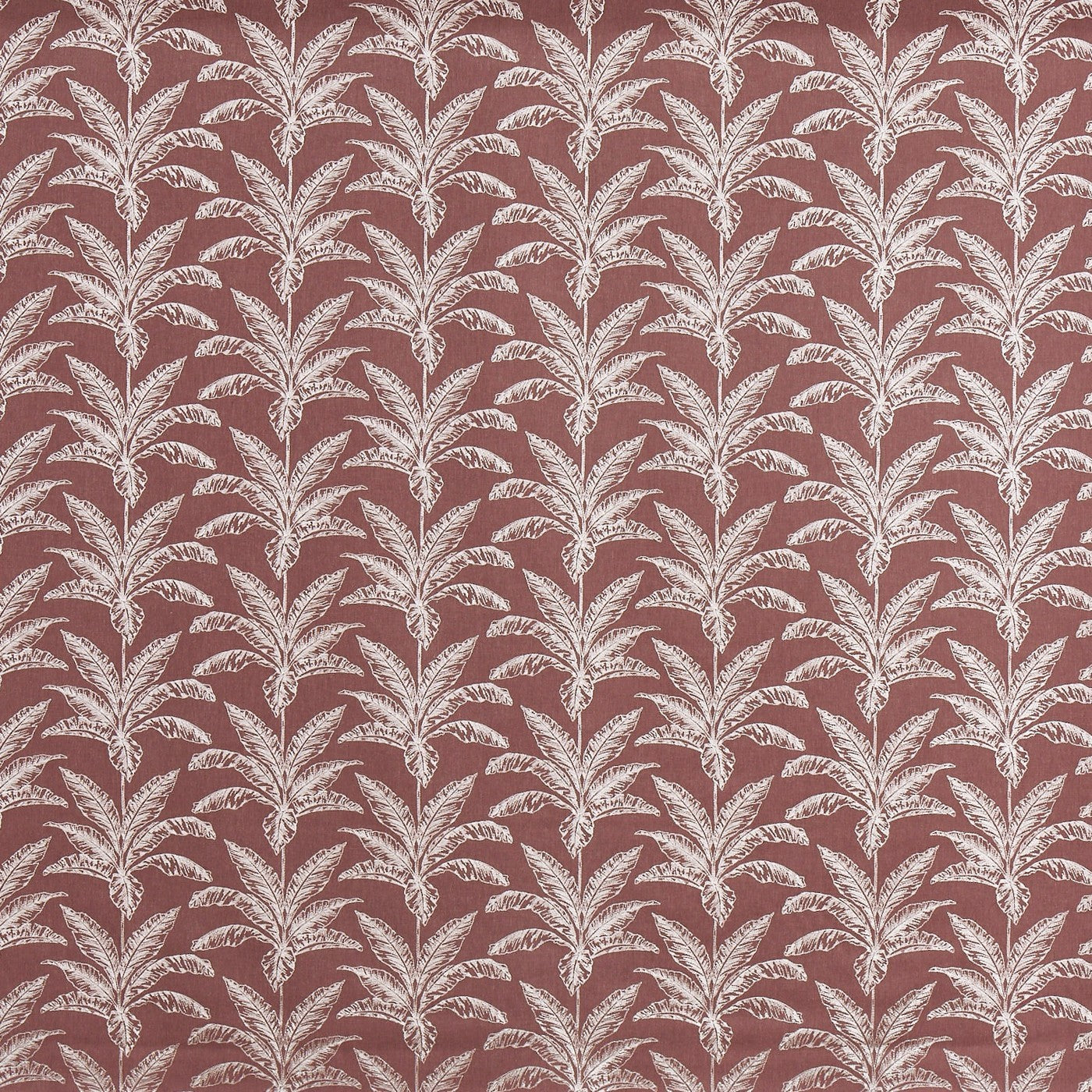 Allegro Juniper